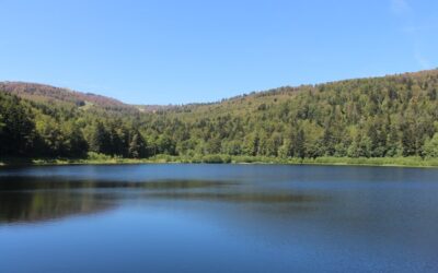 Des actions pour sécuriser la ressource en eau