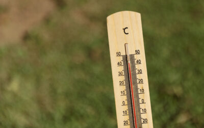 Les canicules : Un phénomène de plus en plus fréquent et dangereux
