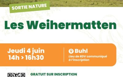 Sortie nature : à la découverte des Weihermatten
