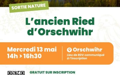 Sortie nature : à la découverte de l’ancien Ried d’Orschwihr