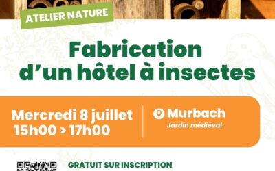 Atelier famille : Fabrication d’un hôtel à insectes