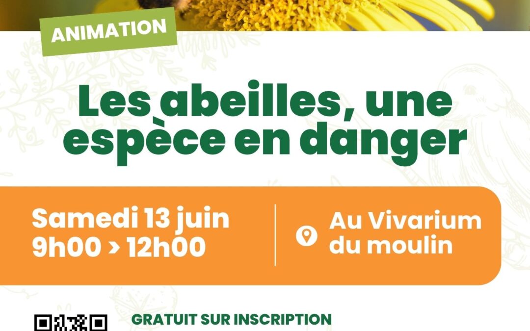 Les abeilles, une espèce en danger