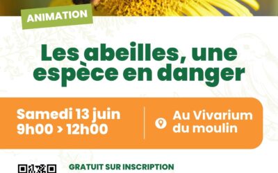 Les abeilles, une espèce en danger