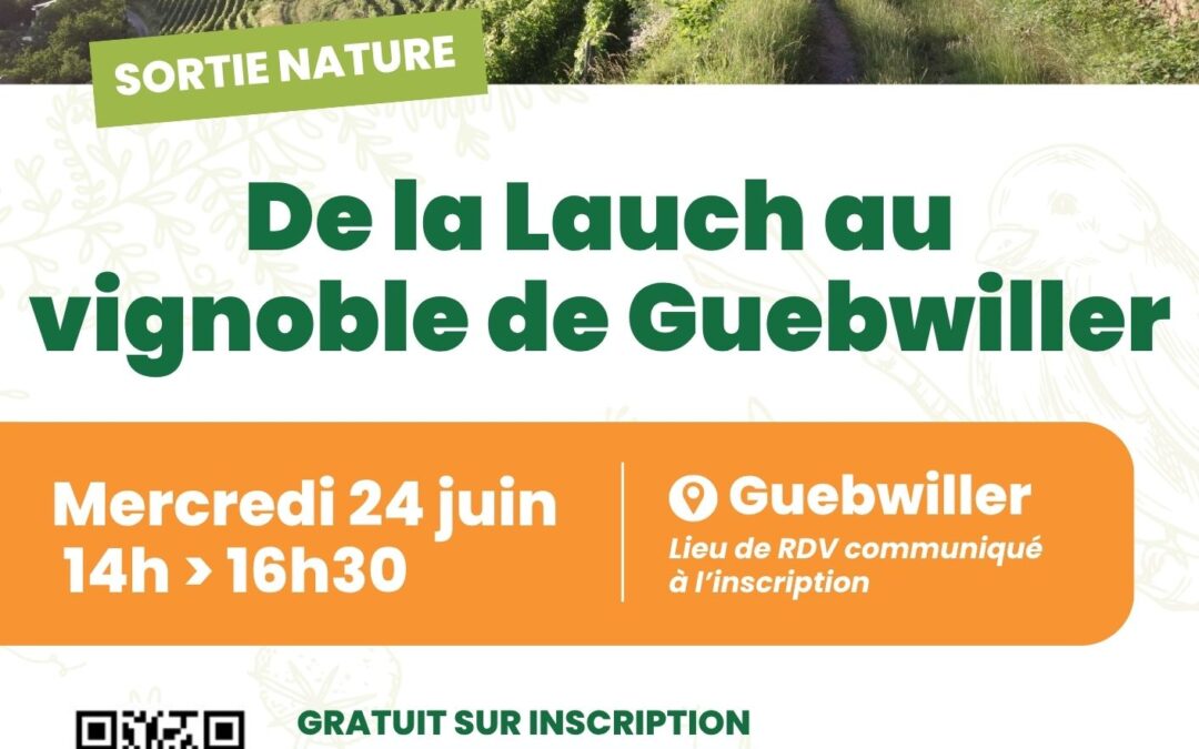Sortie nature : de la Lauch au vignoble de Guebwiller