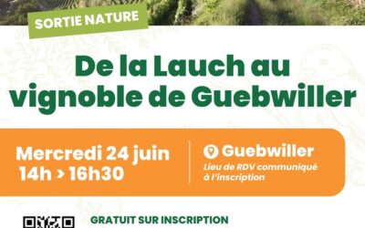 Sortie nature : de la Lauch au vignoble de Guebwiller