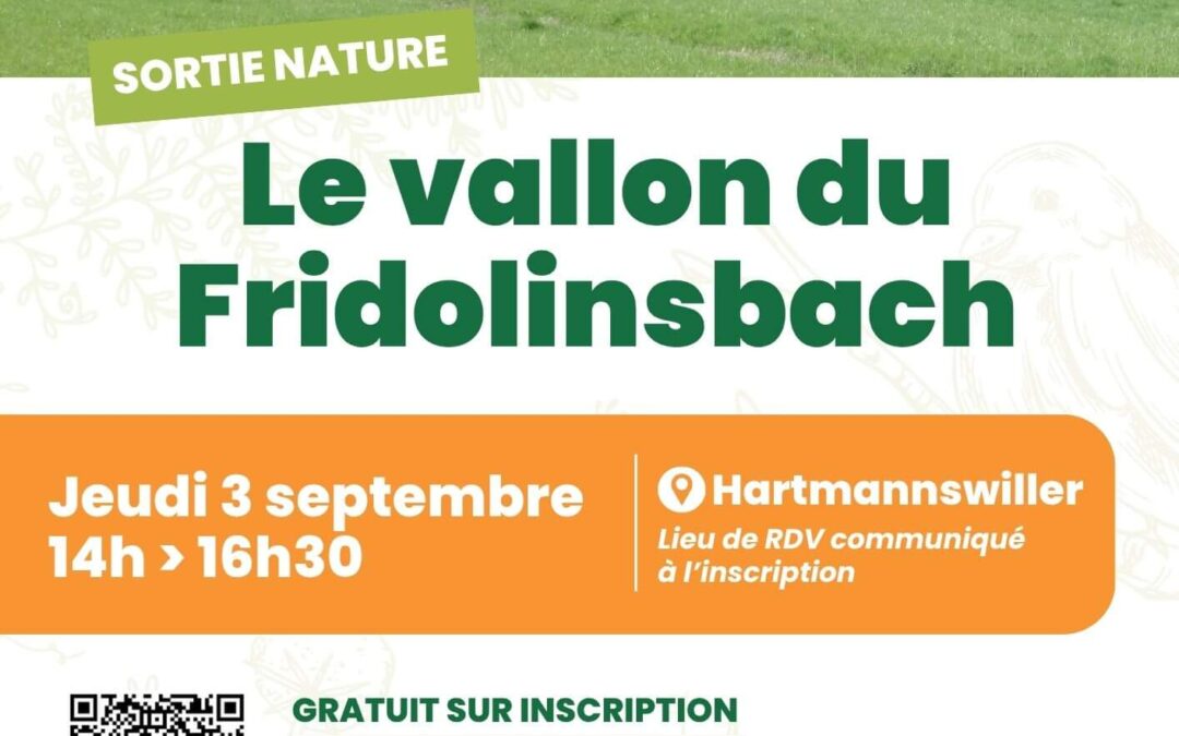 Le vallon du Fridolinsbach
