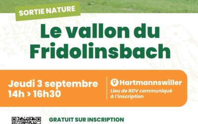Le vallon du Fridolinsbach