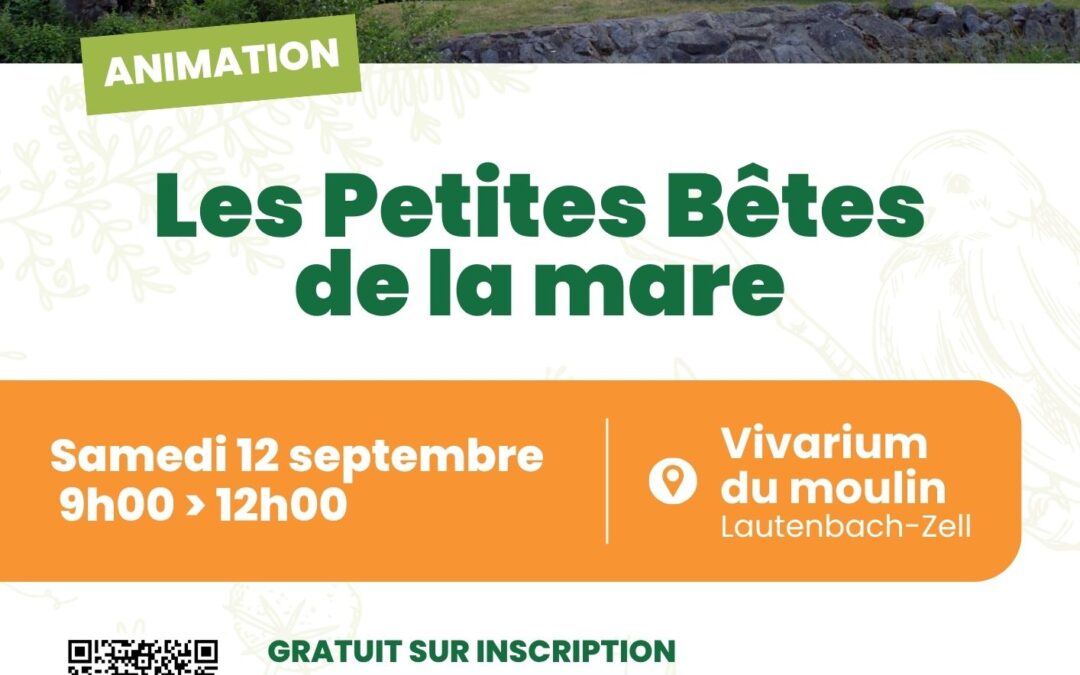 Animation nature : Les Petites Bêtes de la Nature