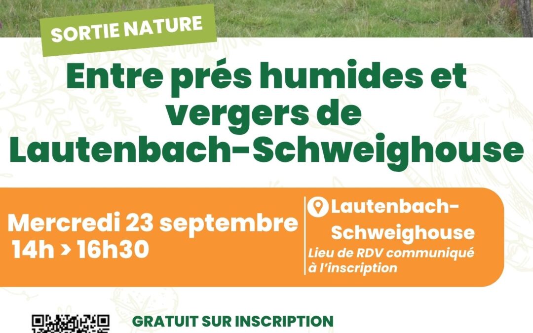 Sortie nature : entre prés humides et vergers de Lautenbach-Schweighouse