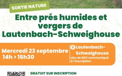 Sortie nature : entre prés humides et vergers de Lautenbach-Schweighouse